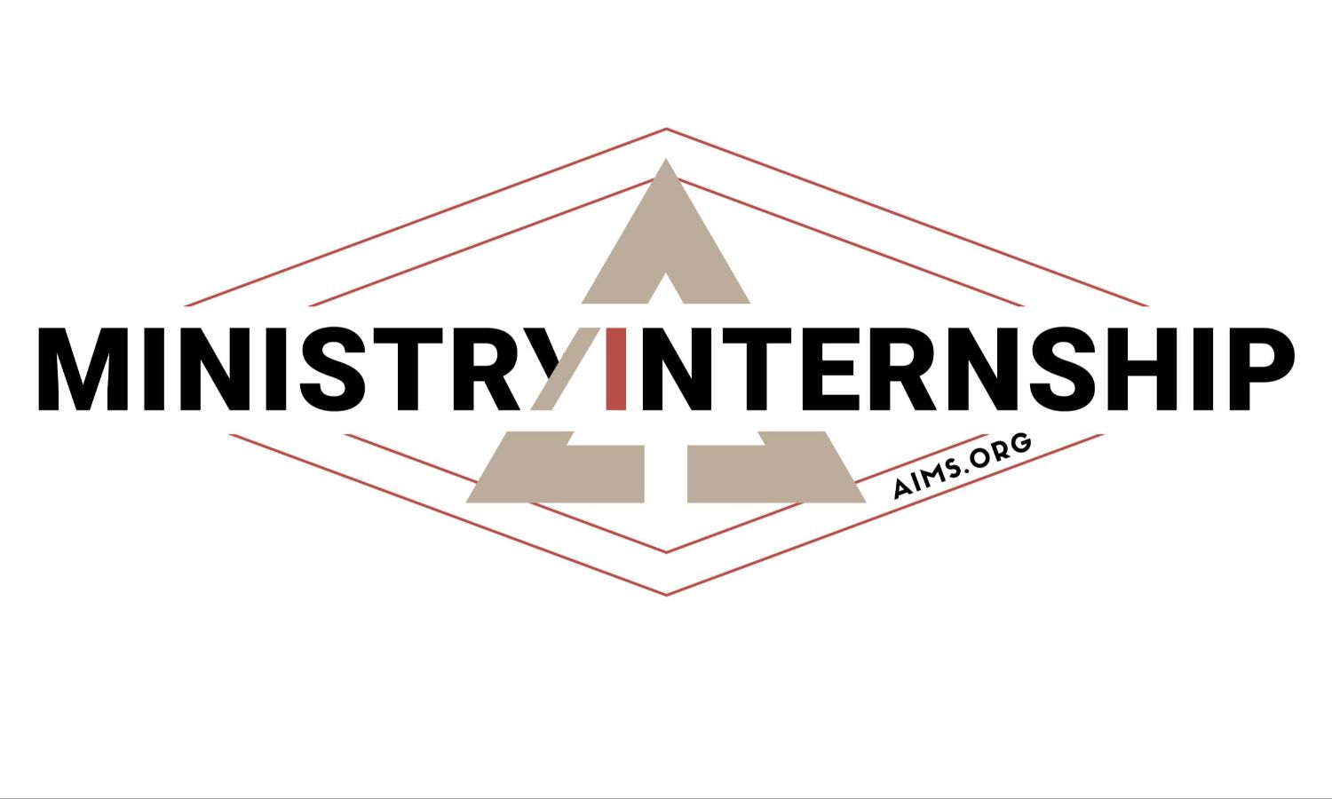 AIMS Interns