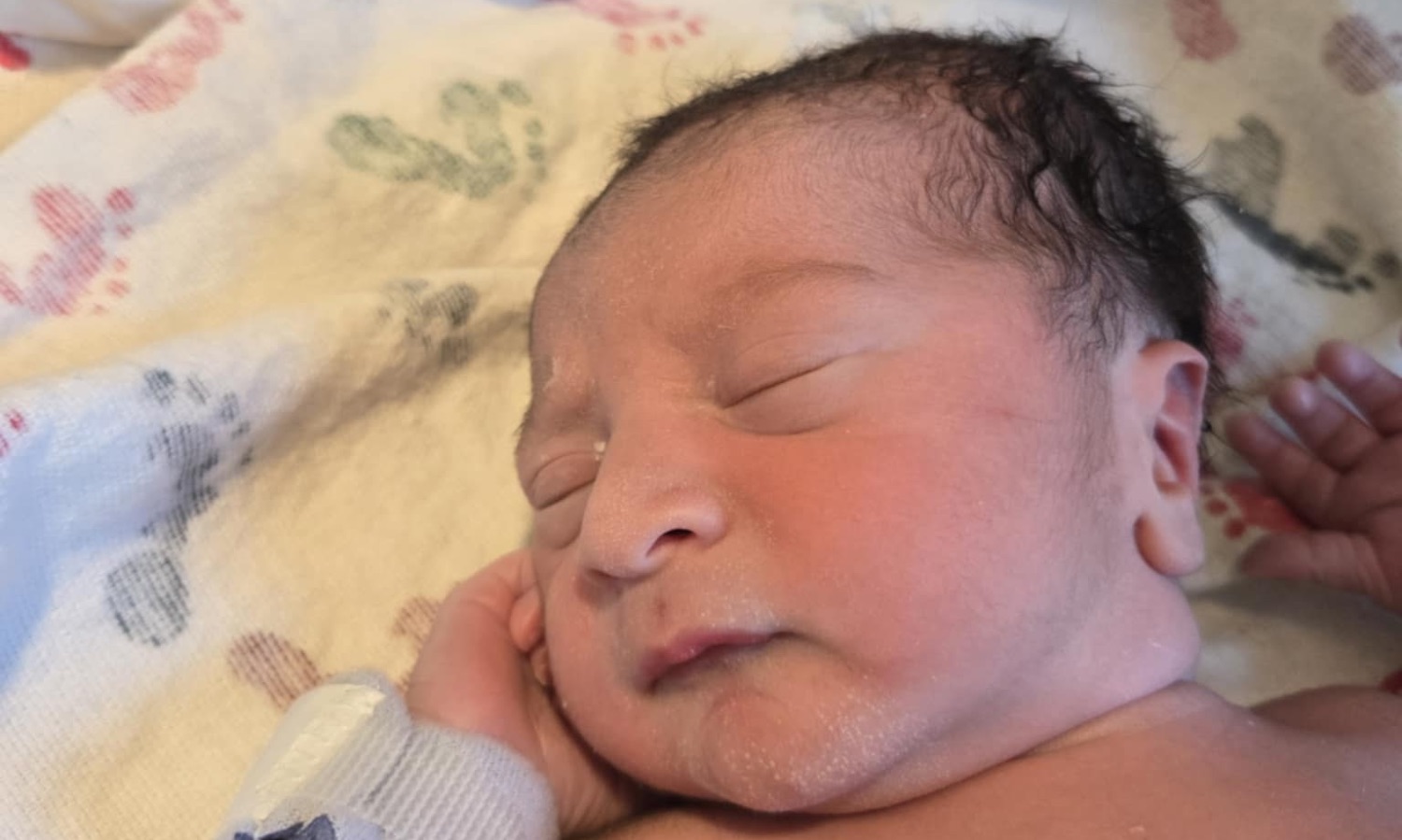 The Gustafson Family 