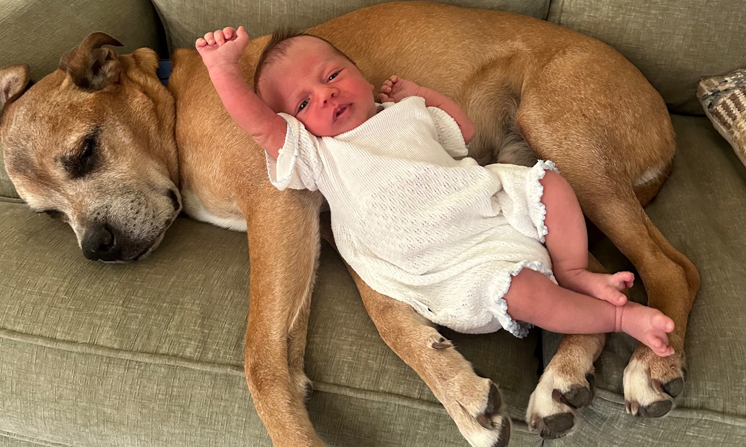 The McCluskey Family 