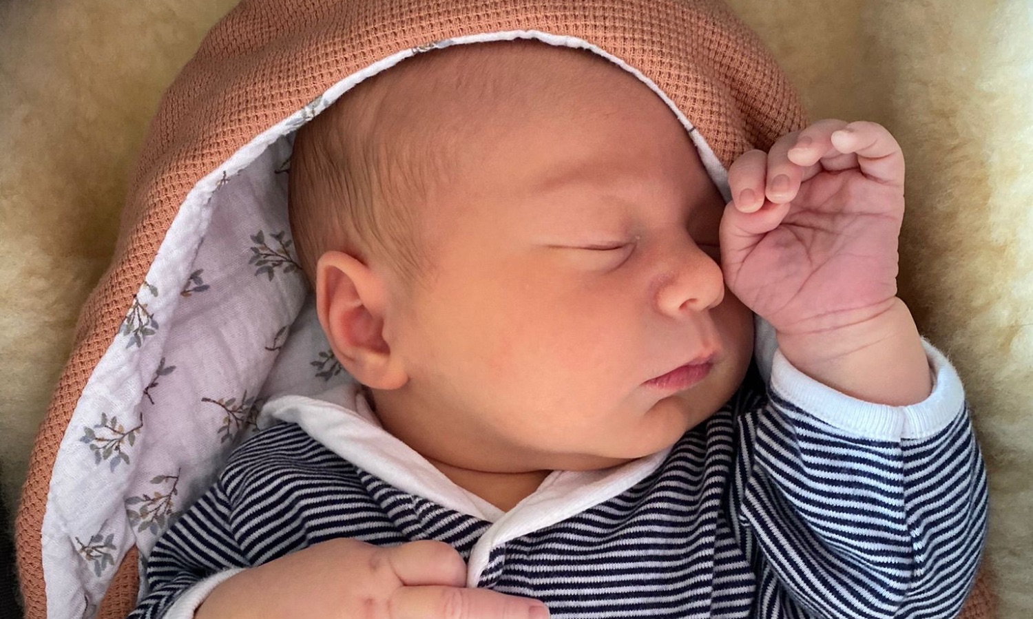 Laura, Tanguy, Olivia et Maxence