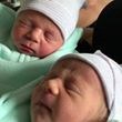 Hammonds- twin baby boys