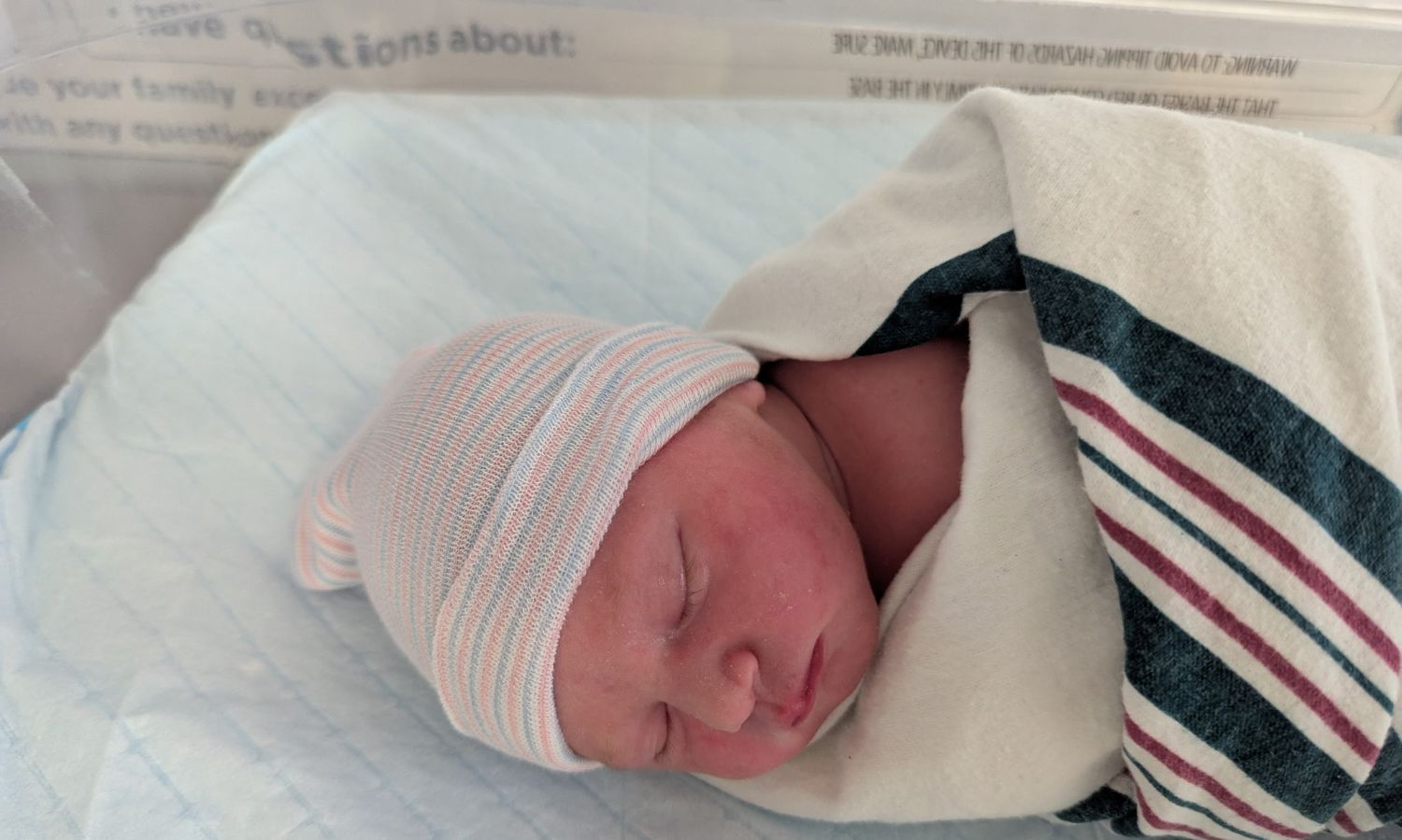 Mansfield and Lelchook Family 