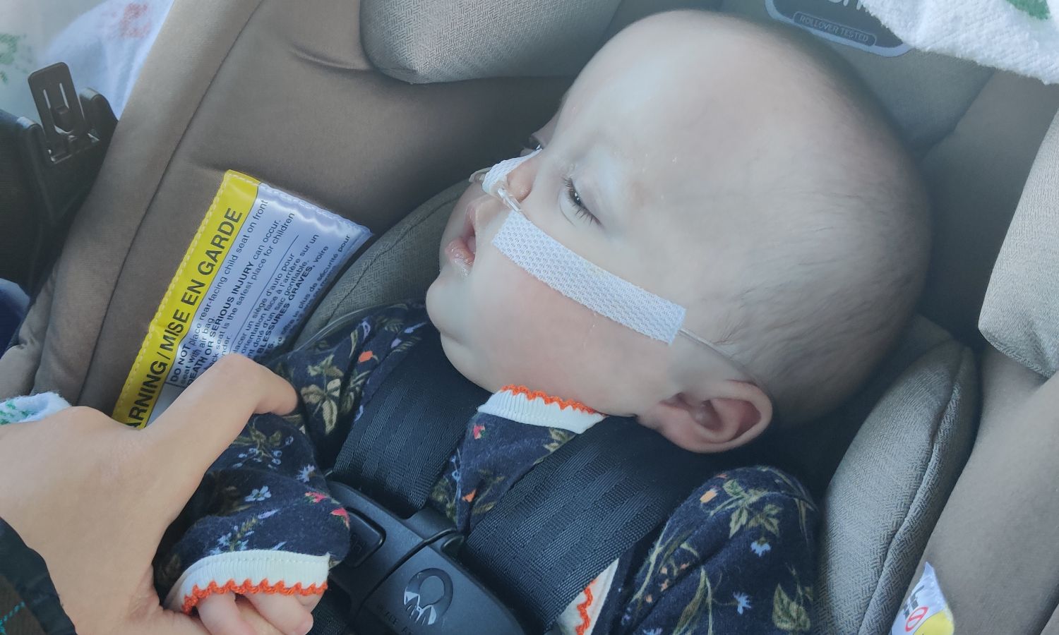 Shane & Katherine Rutherford