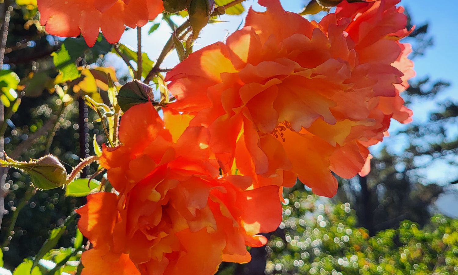 Men's I-Help September 2025