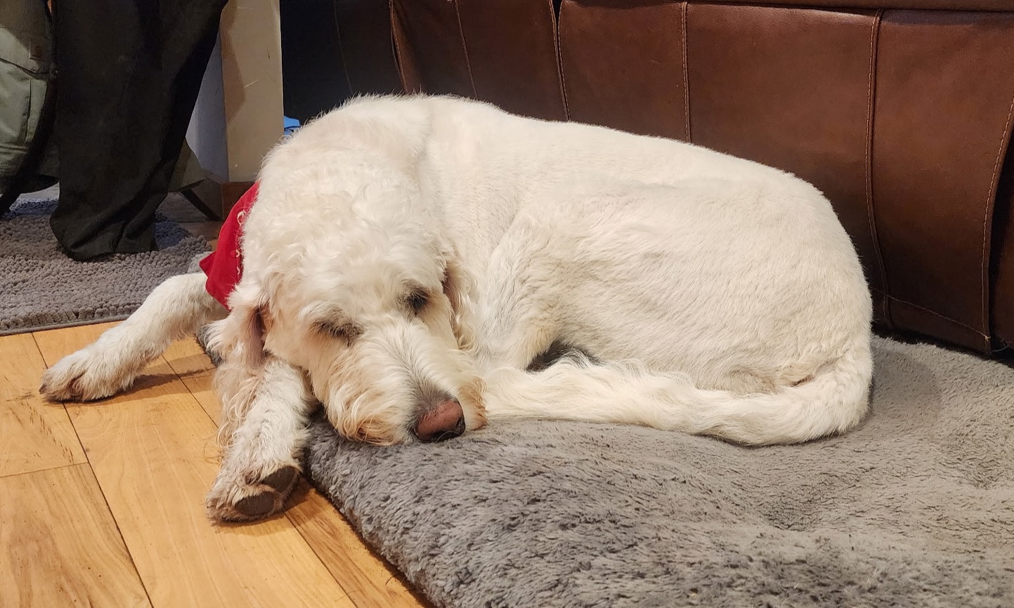 Supporting Chelsea and Eric Wicks