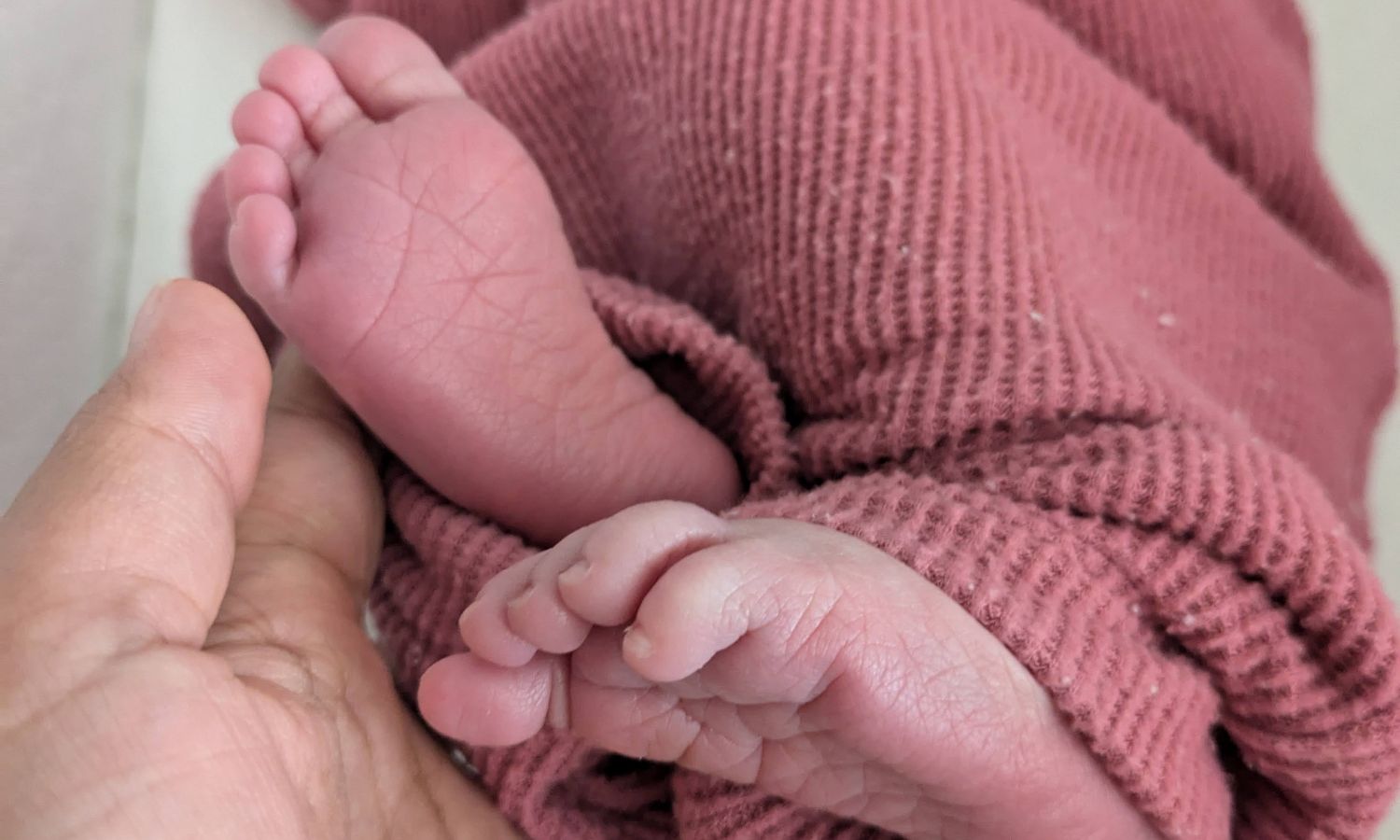 The Dalfort (Fortman/Aggarwal) Family