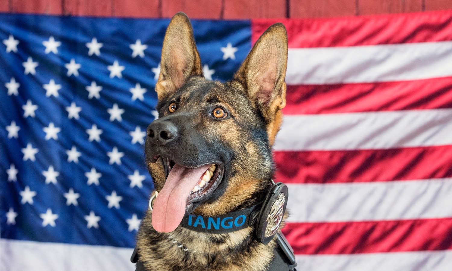 K9 Tango & Family