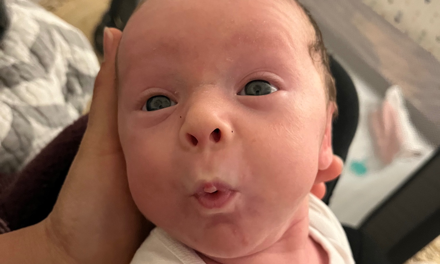 Tarzan, Rocky, and Andrew