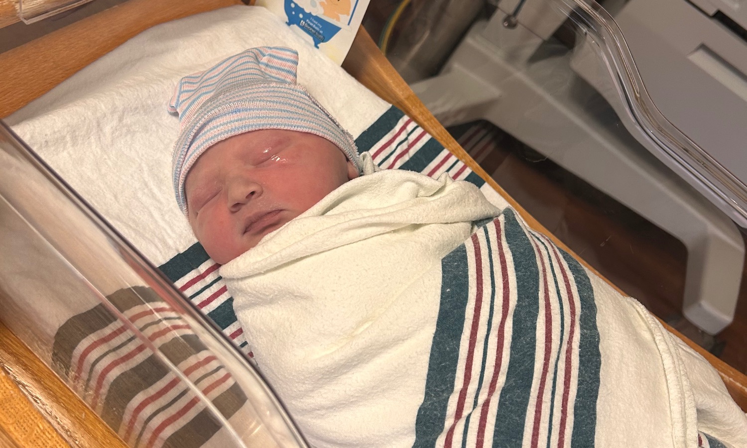 The Hammontree Family