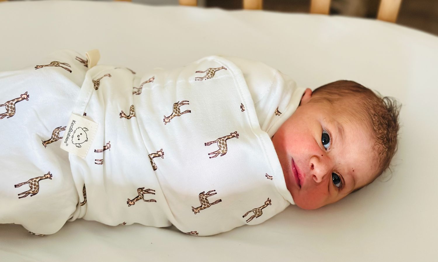 Meal Train for the Stewarts