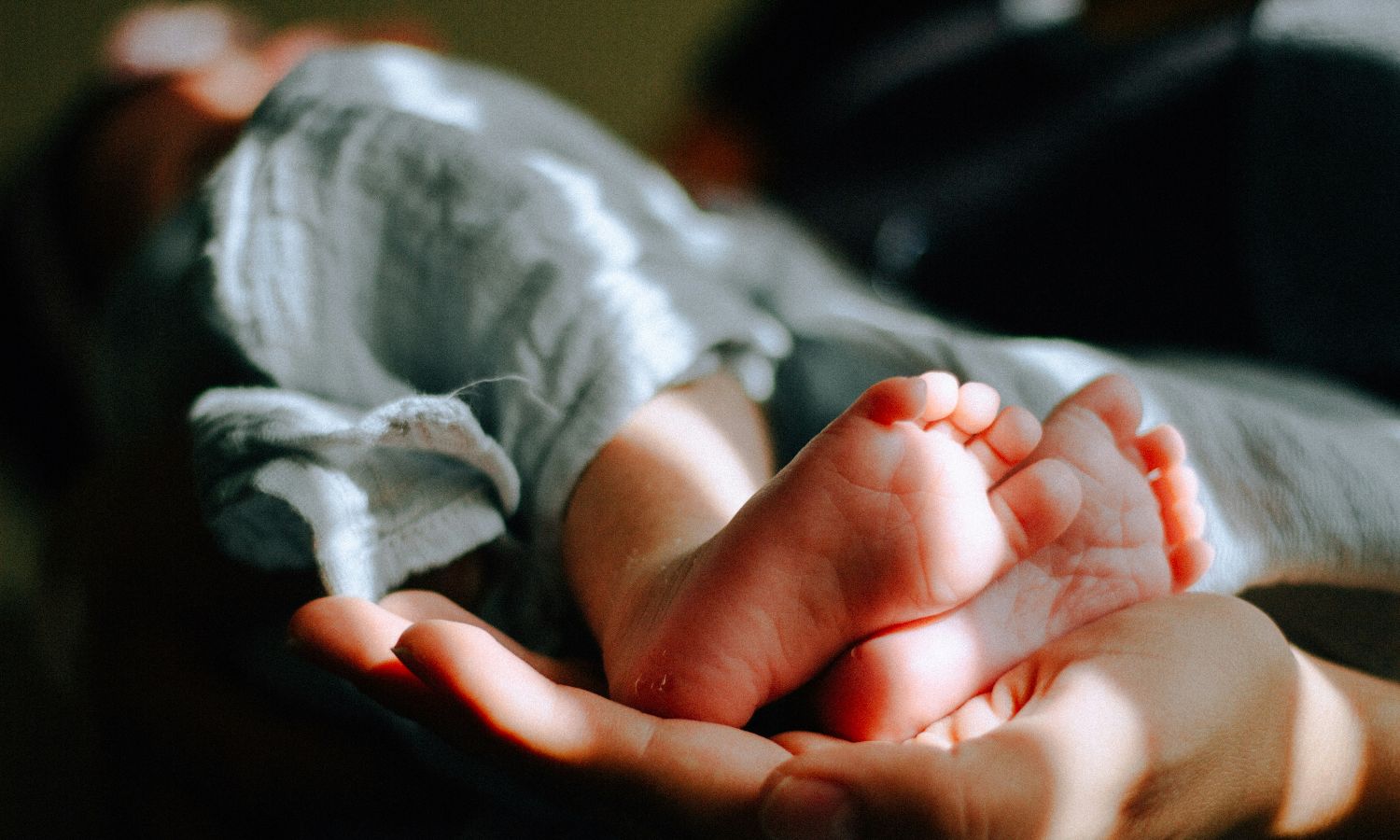 Enya, Ricardo, Maya, Arya & Roan