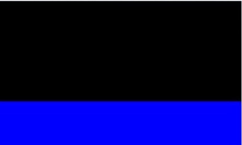NPD Officer 
