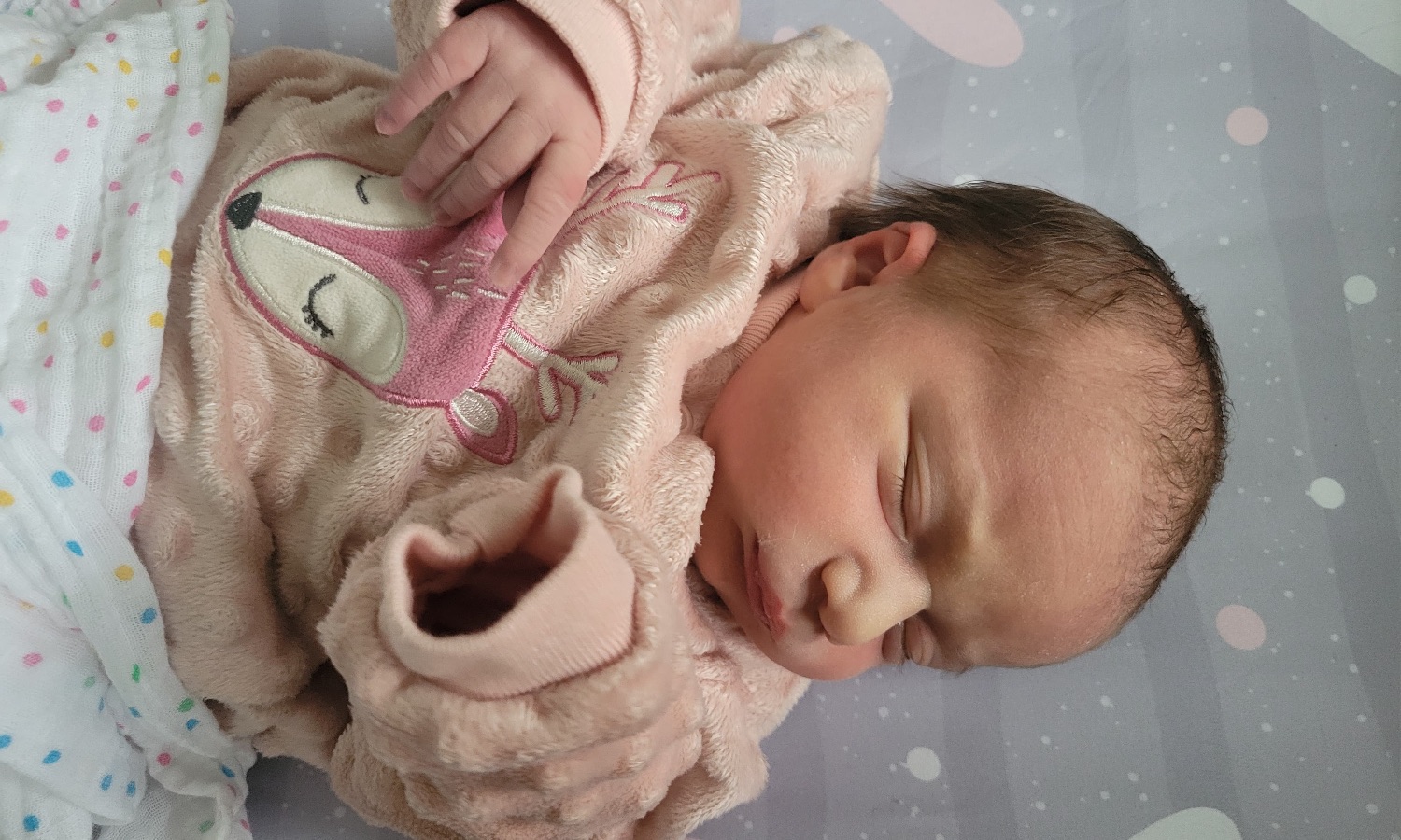 Sarah Jennings & family