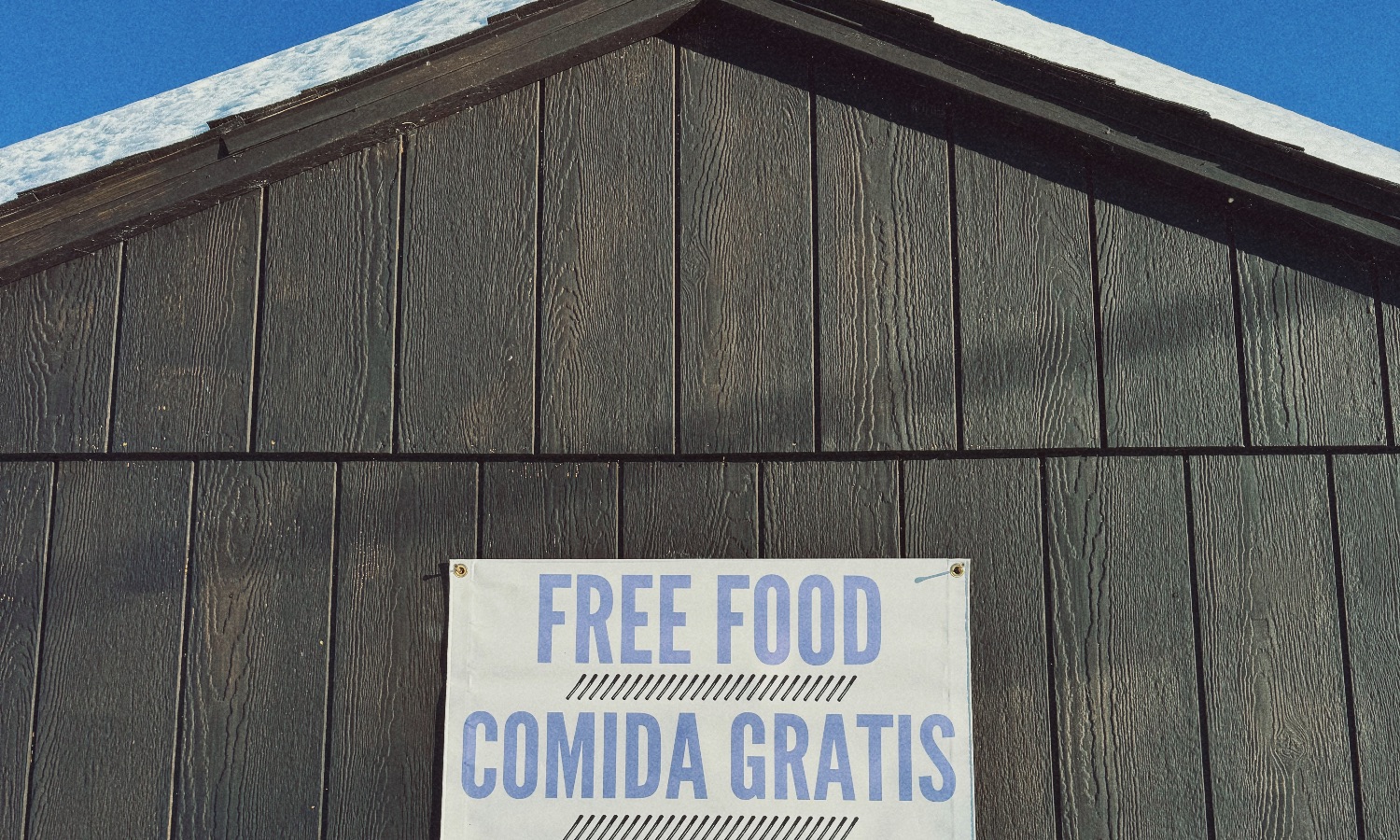 The Common Freezer - SHOPPER SHIFTS