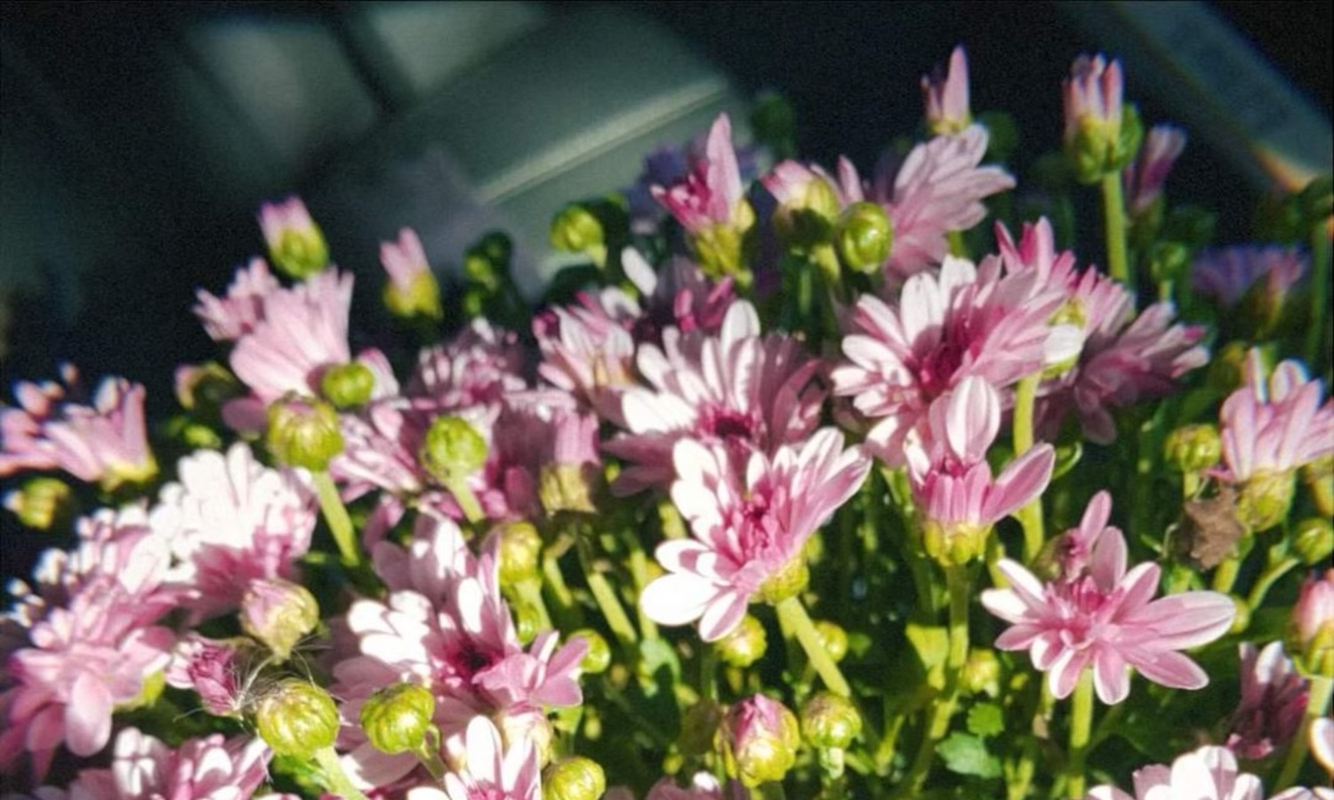 Justin and Rebekah Ritter