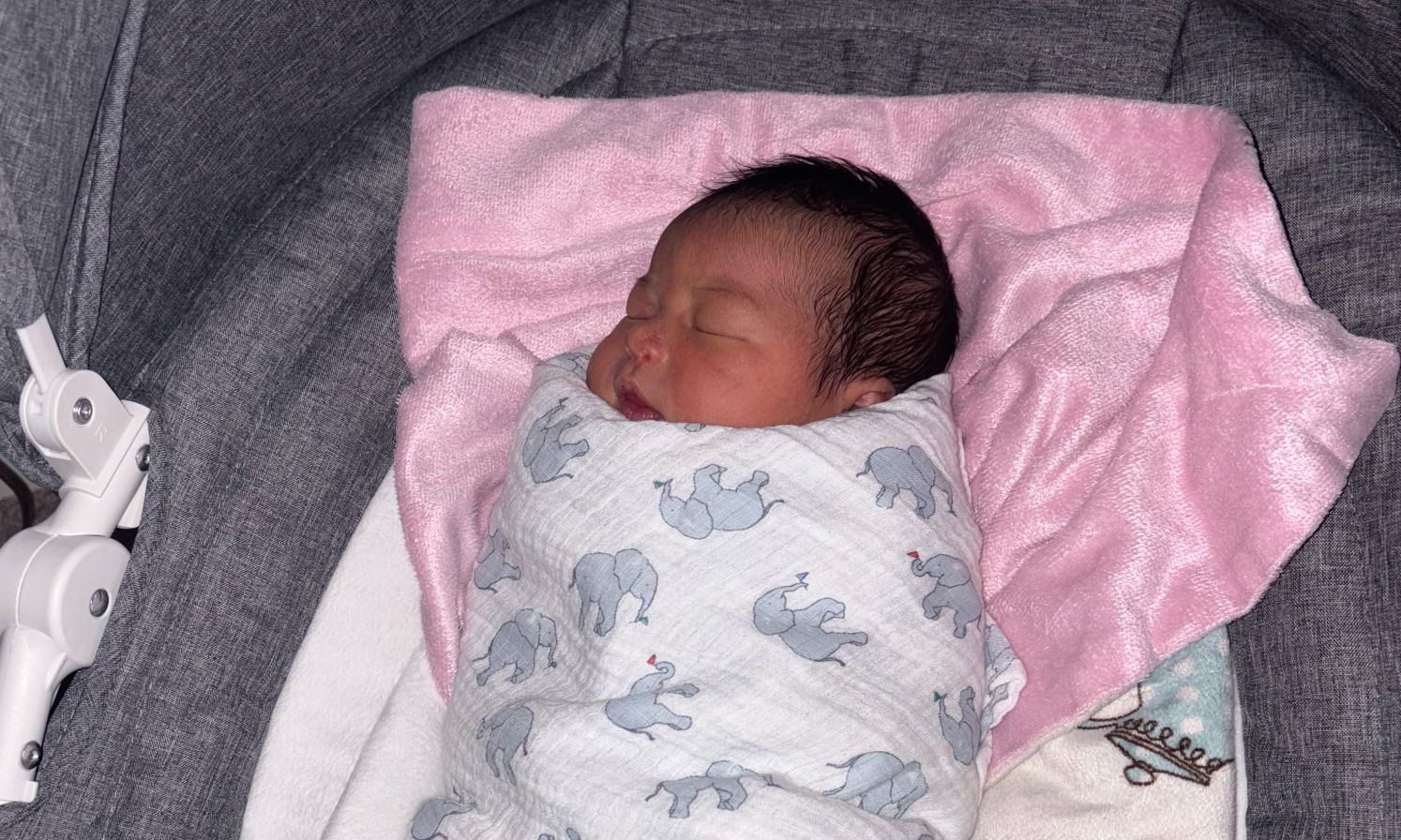 Malia Britton and Family!