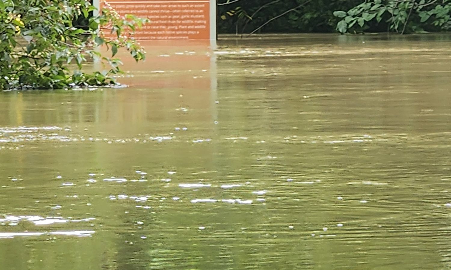 Riverwood Community Flood Recovery Dinners