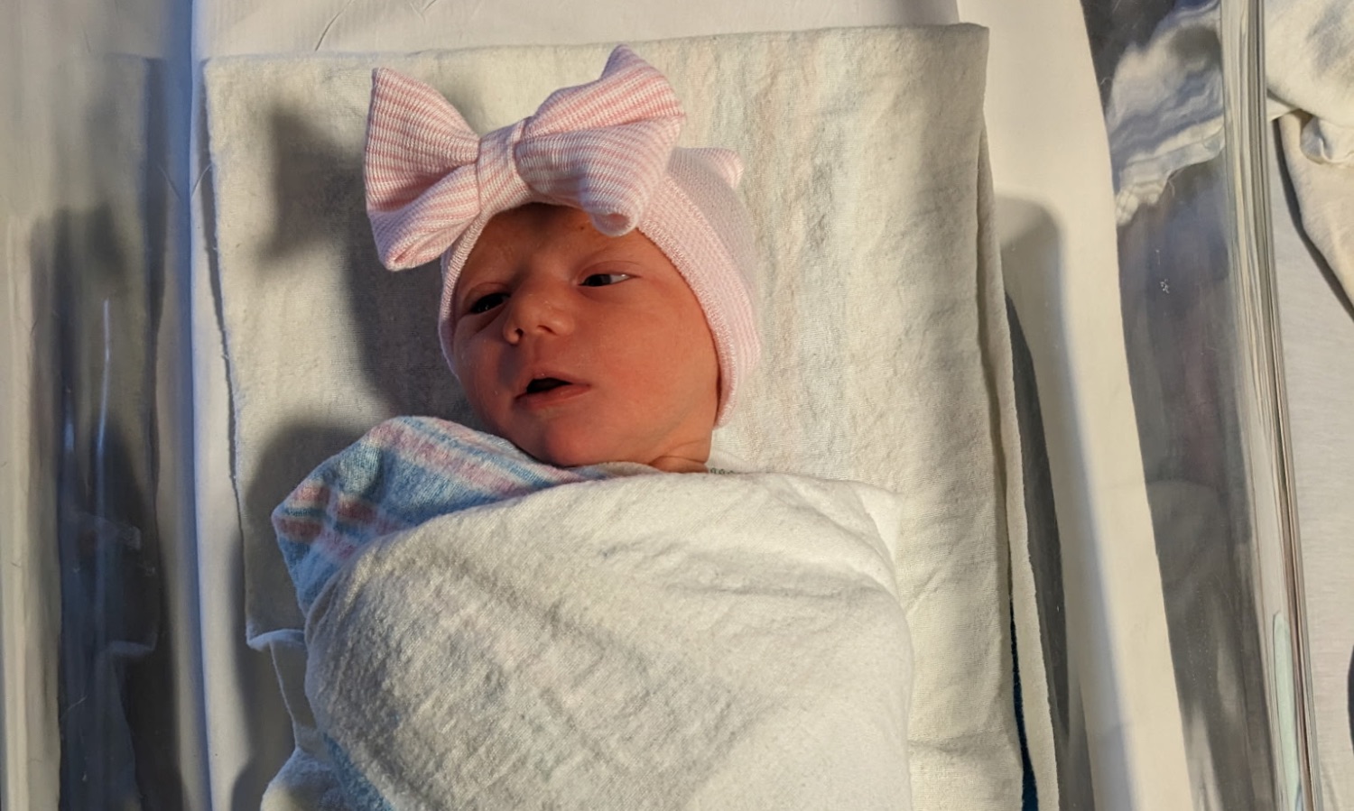 Emilio and Tara Attardo